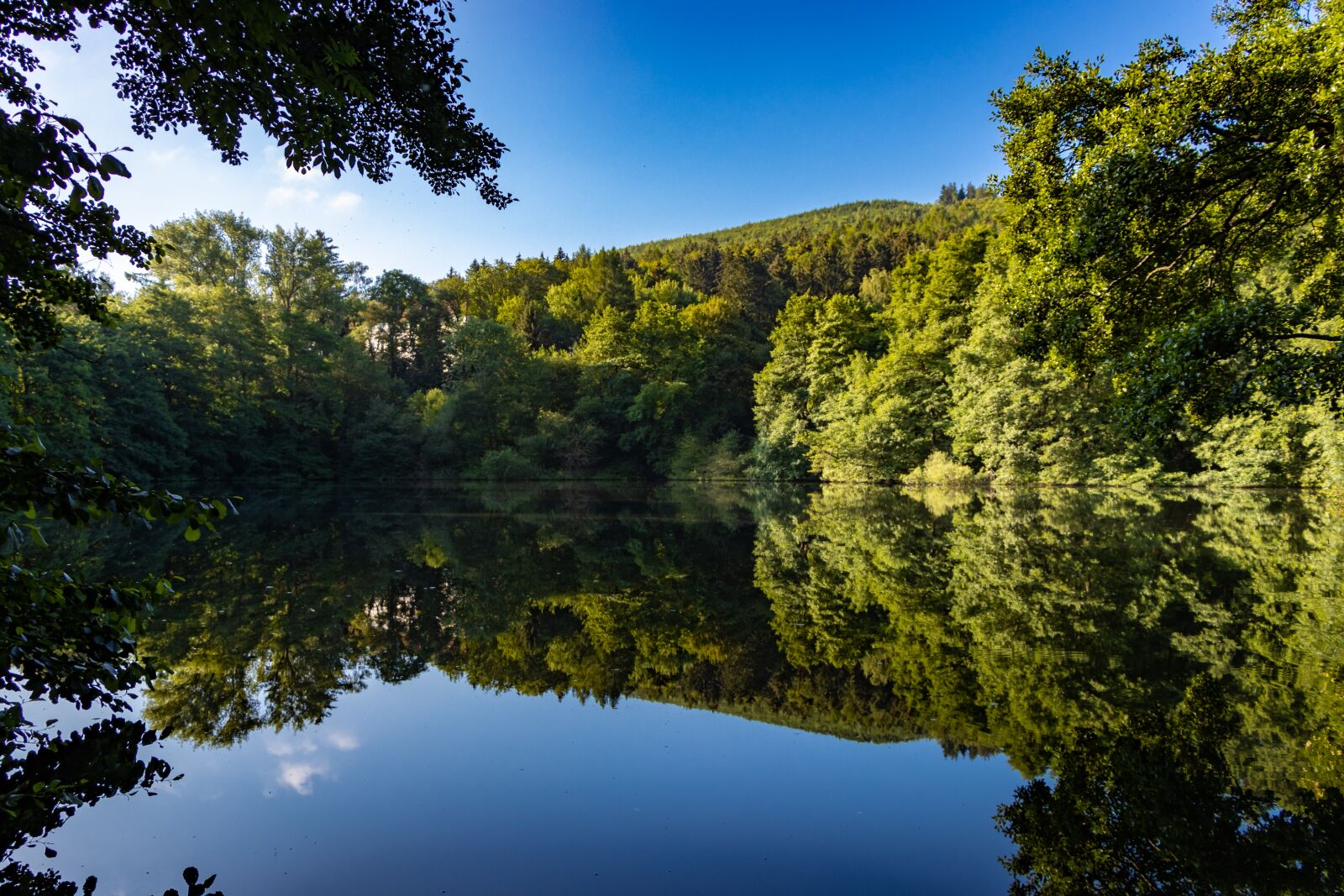 Canon EOS 90D sample photo. Lake, pond, water photography