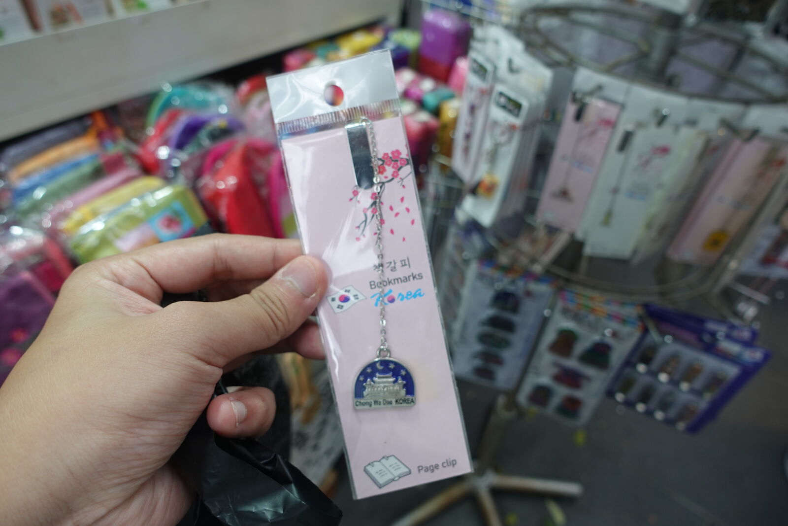 Sony ZV-1 sample photo