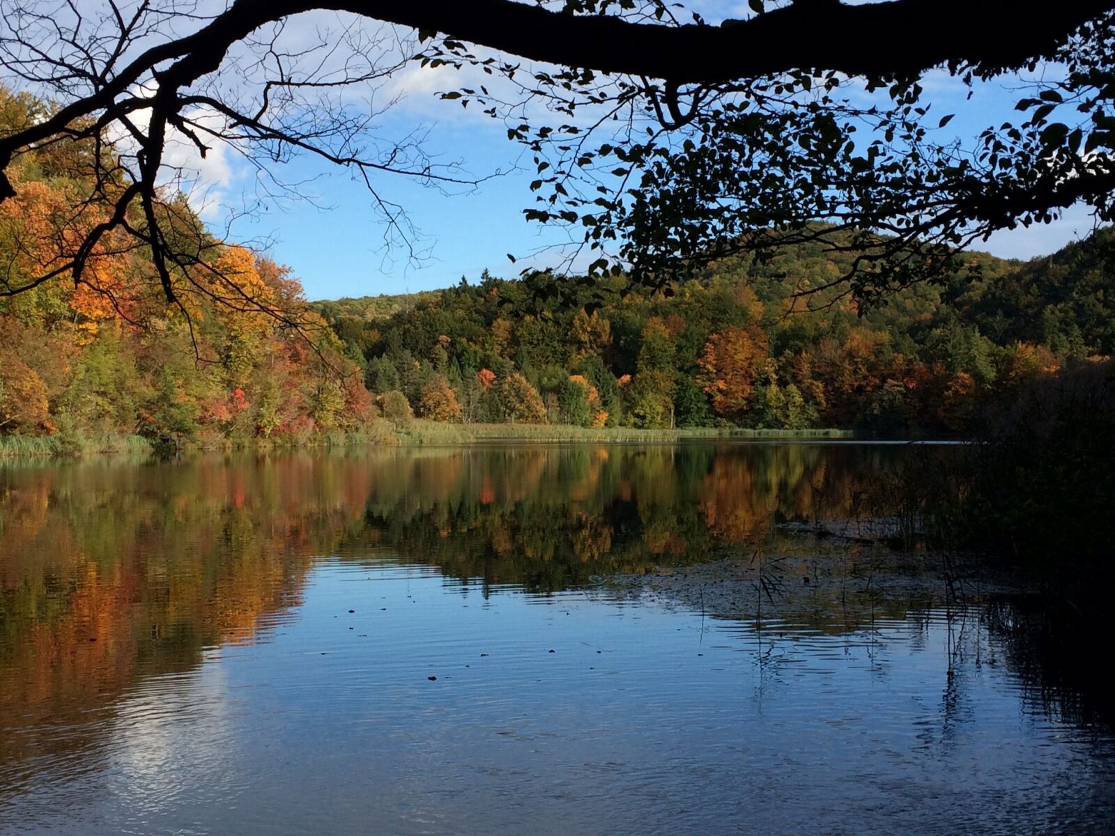 iPhone 5s back camera 4.15mm f/2.2 sample photo. Plitvice, croatia, water photography