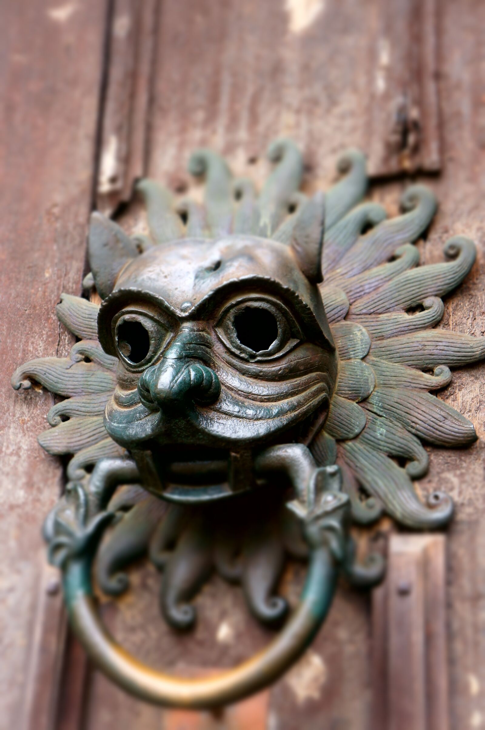 Sony Alpha NEX-5N + Sony E 18-55mm F3.5-5.6 OSS sample photo. Door knocker, door, face photography
