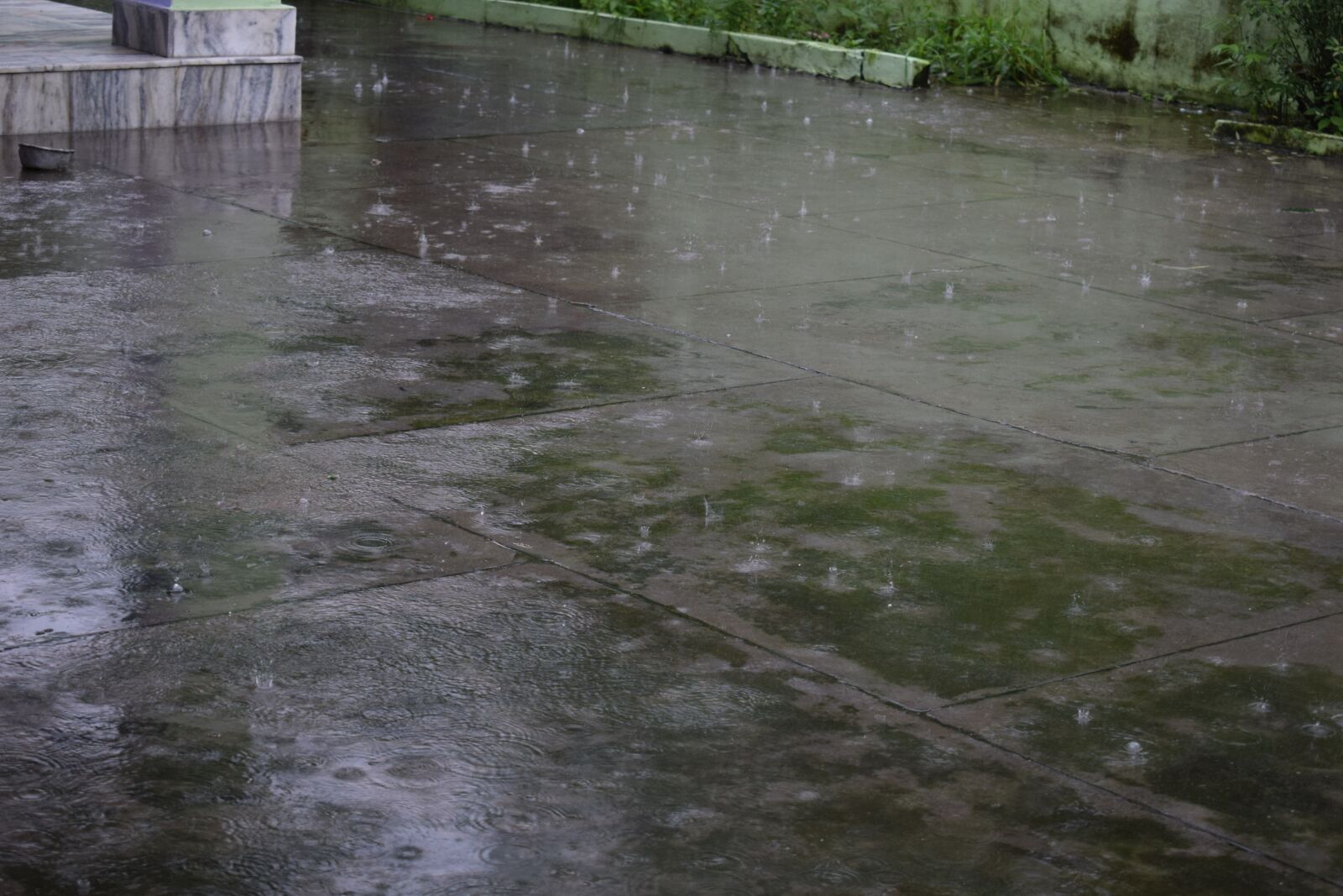 Nikon D3300 sample photo. Rain, water, droplets photography