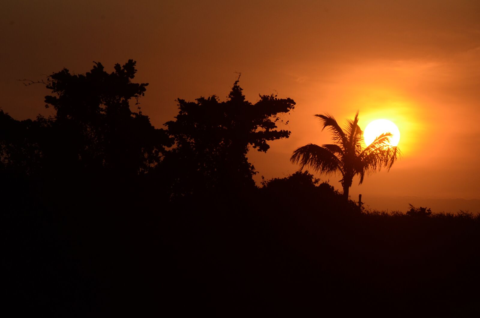Nikon D7000 sample photo. Sunset, dawn, silhouette photography