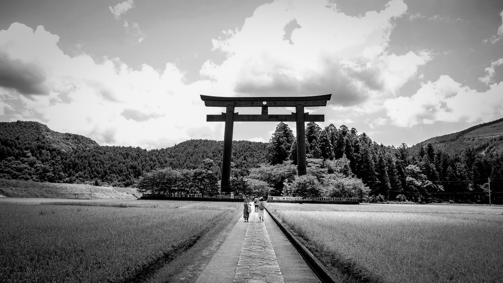 Fujifilm X-E2 sample photo. Black white, countryside, field photography