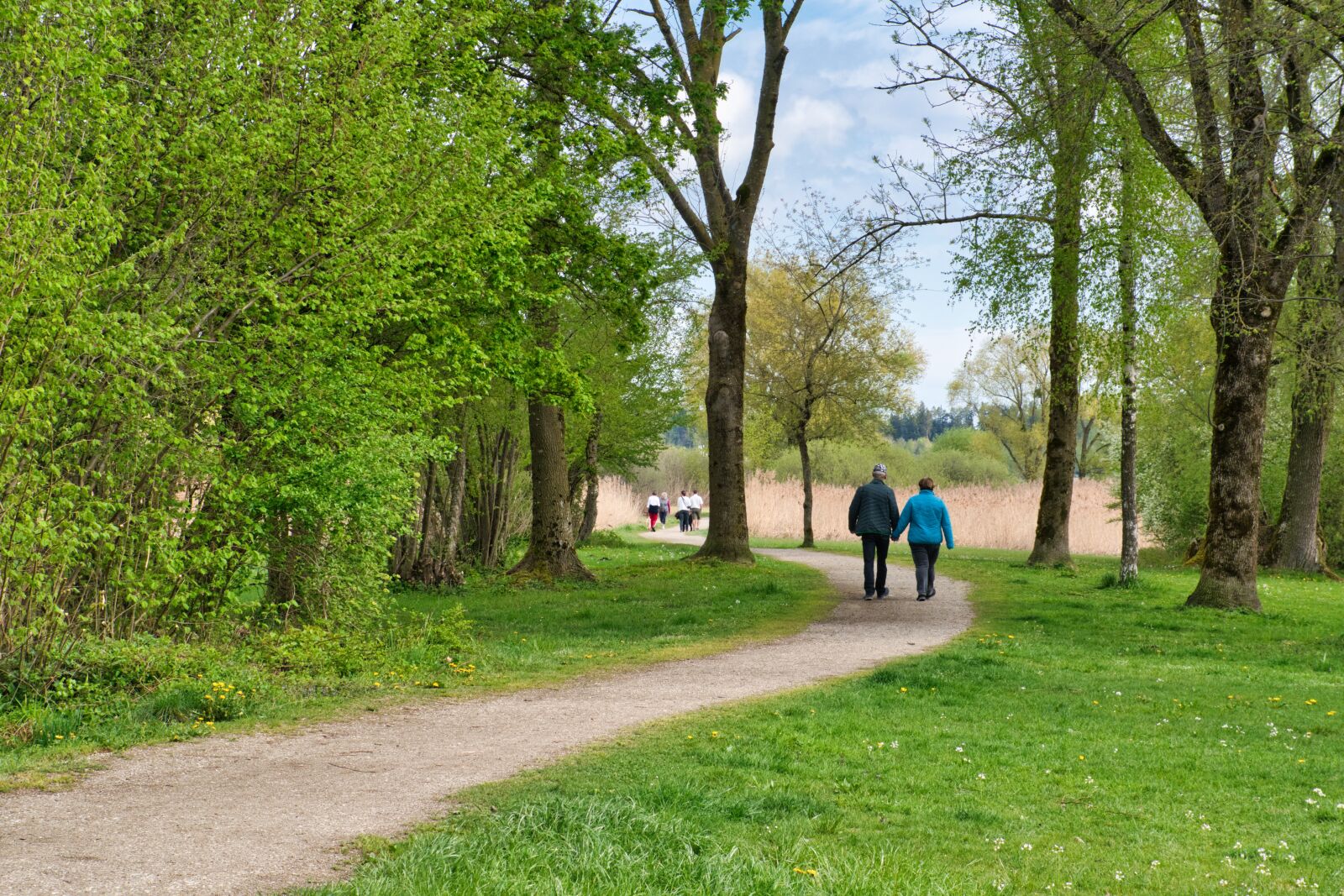 Nikon D7500 sample photo. Away, nature, spring photography