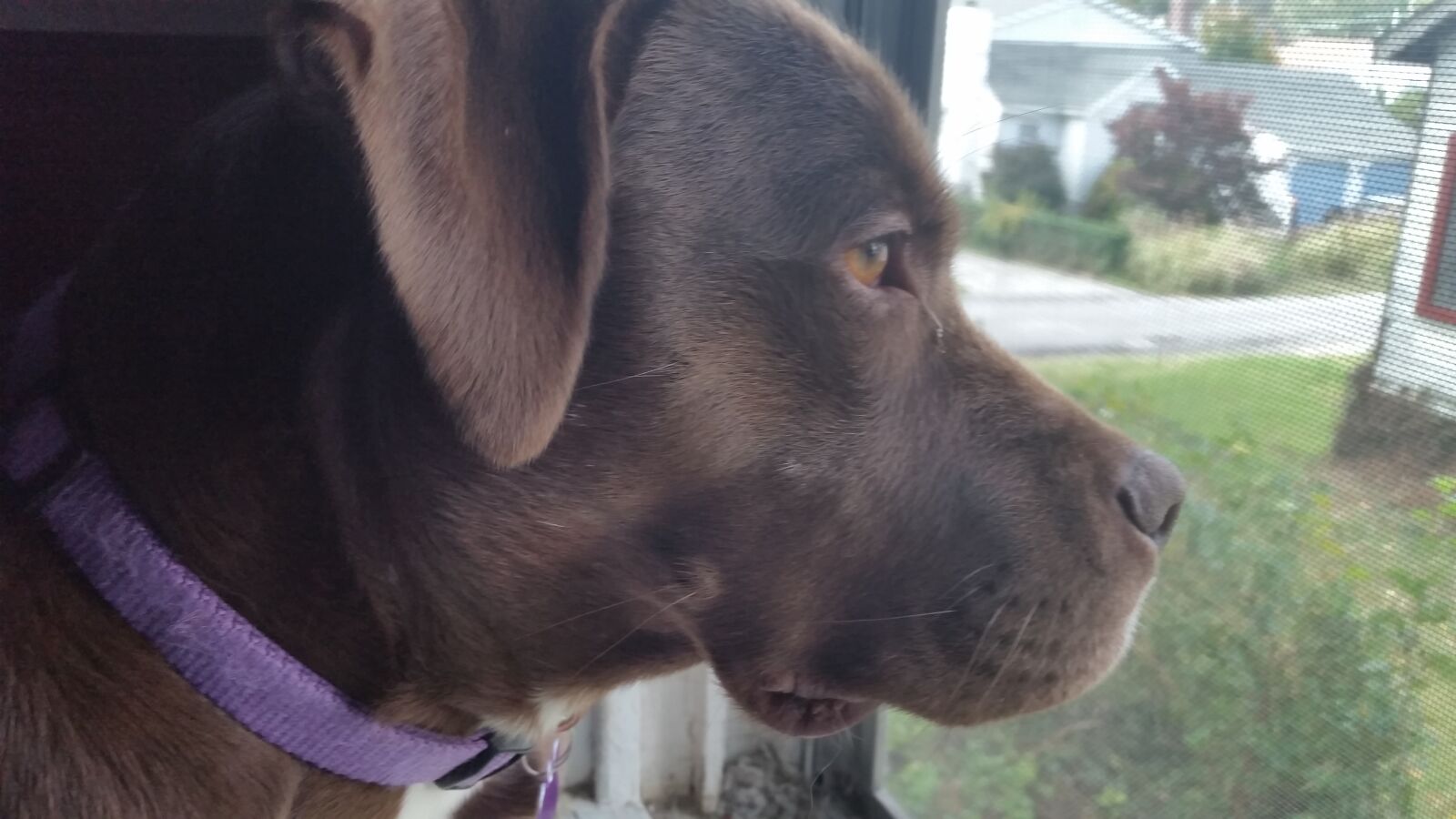 Samsung Galaxy S5 sample photo