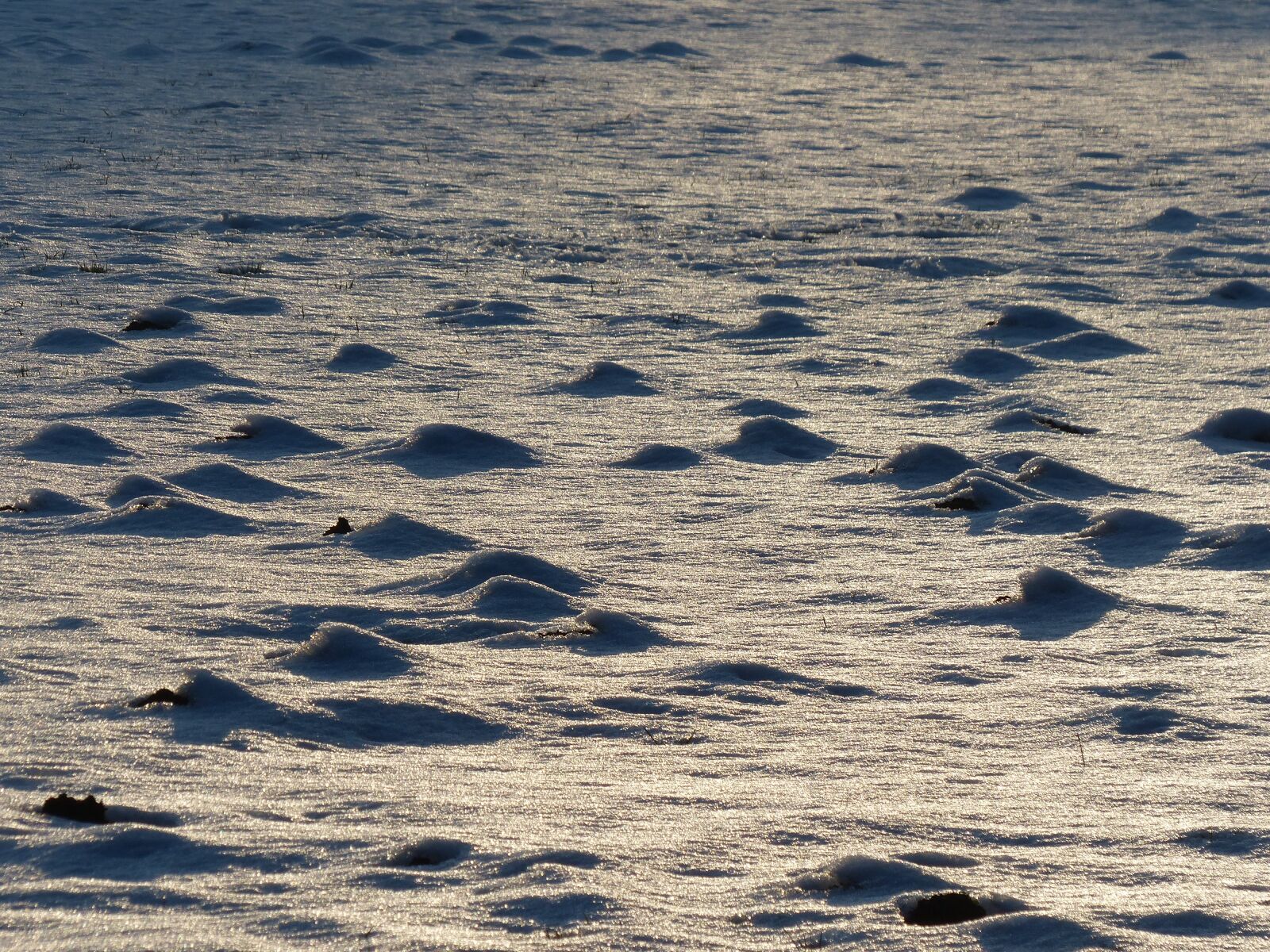Panasonic Lumix DMC-FZ200 sample photo. Wintry, winter, frozen photography
