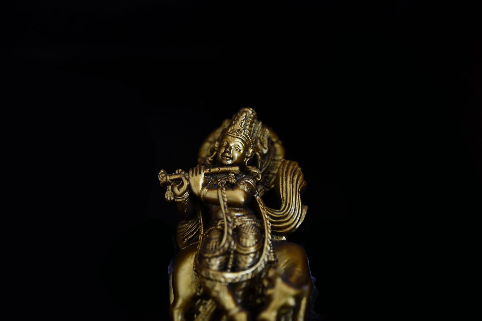 Nikon D850 sample photo. God, statue, krishna photography