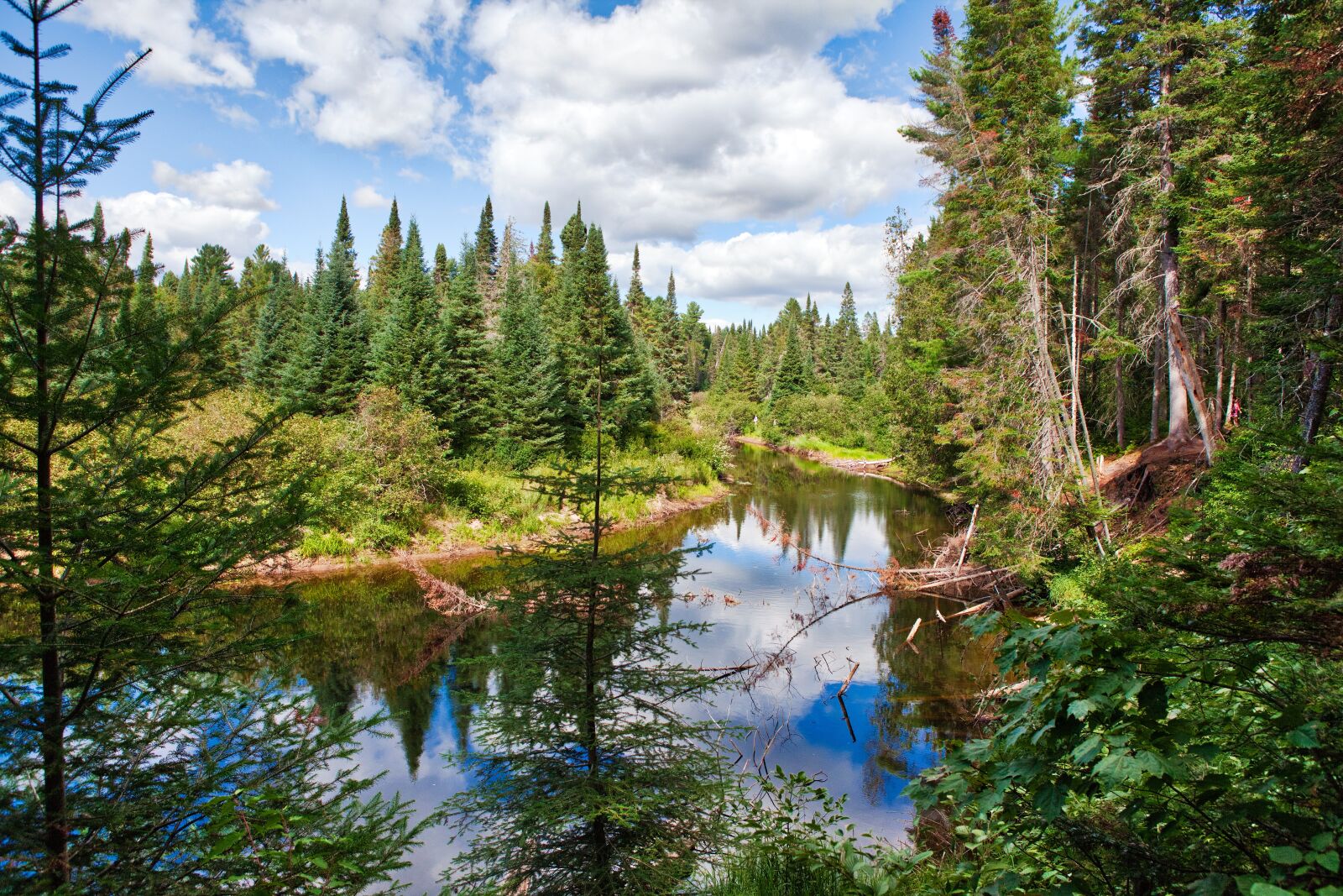 Canon EOS 5D Mark II sample photo. Algonquin park, lake, landscape photography