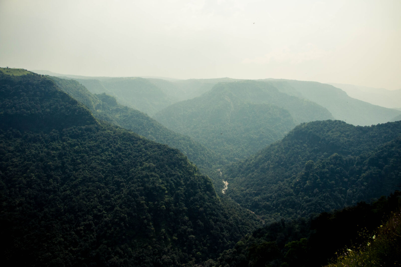 Canon EOS 70D sample photo. Countryside, dramatic, foggy, green photography