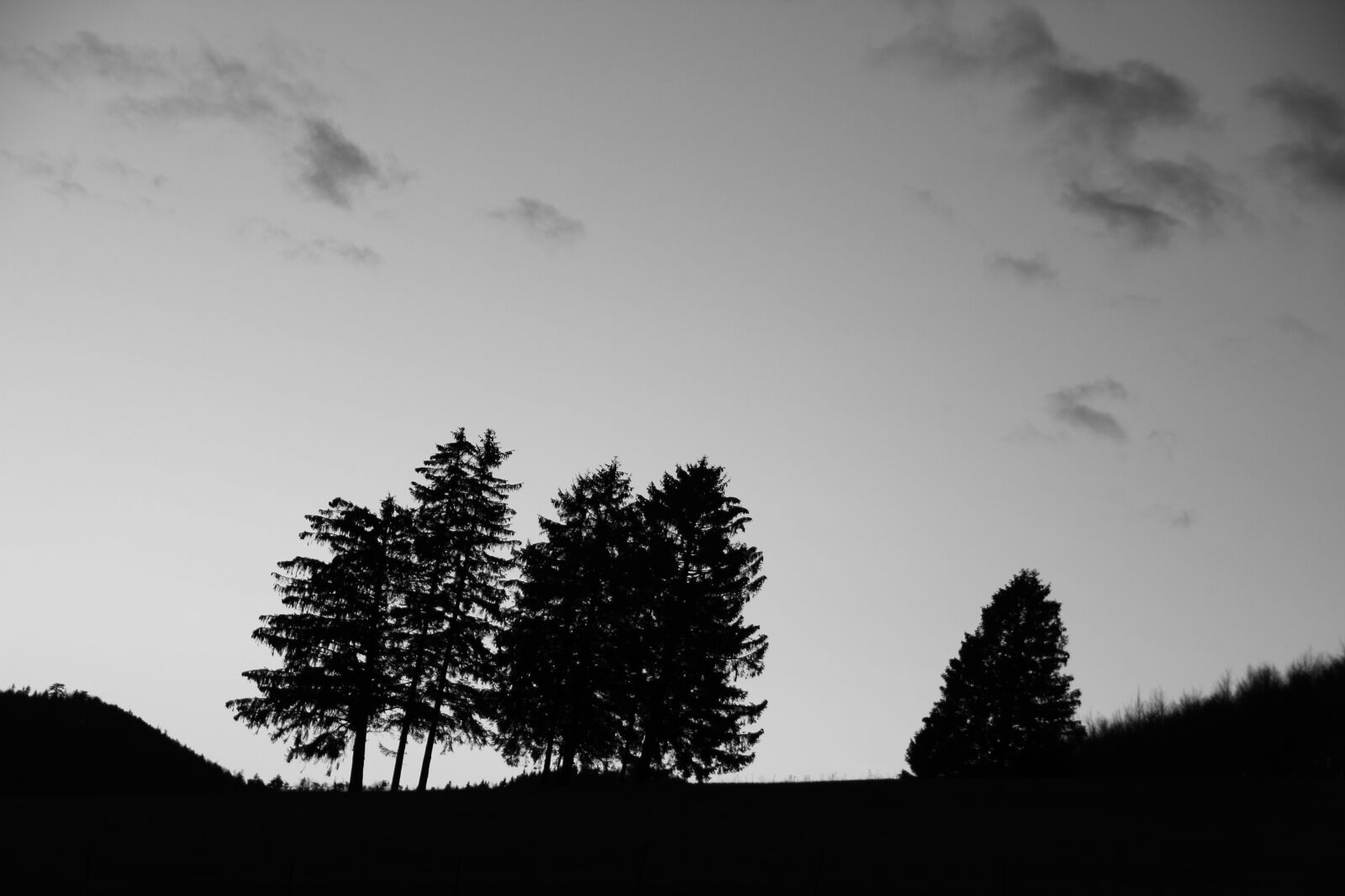 Canon EOS 7D sample photo. Landscape, tree, black and photography