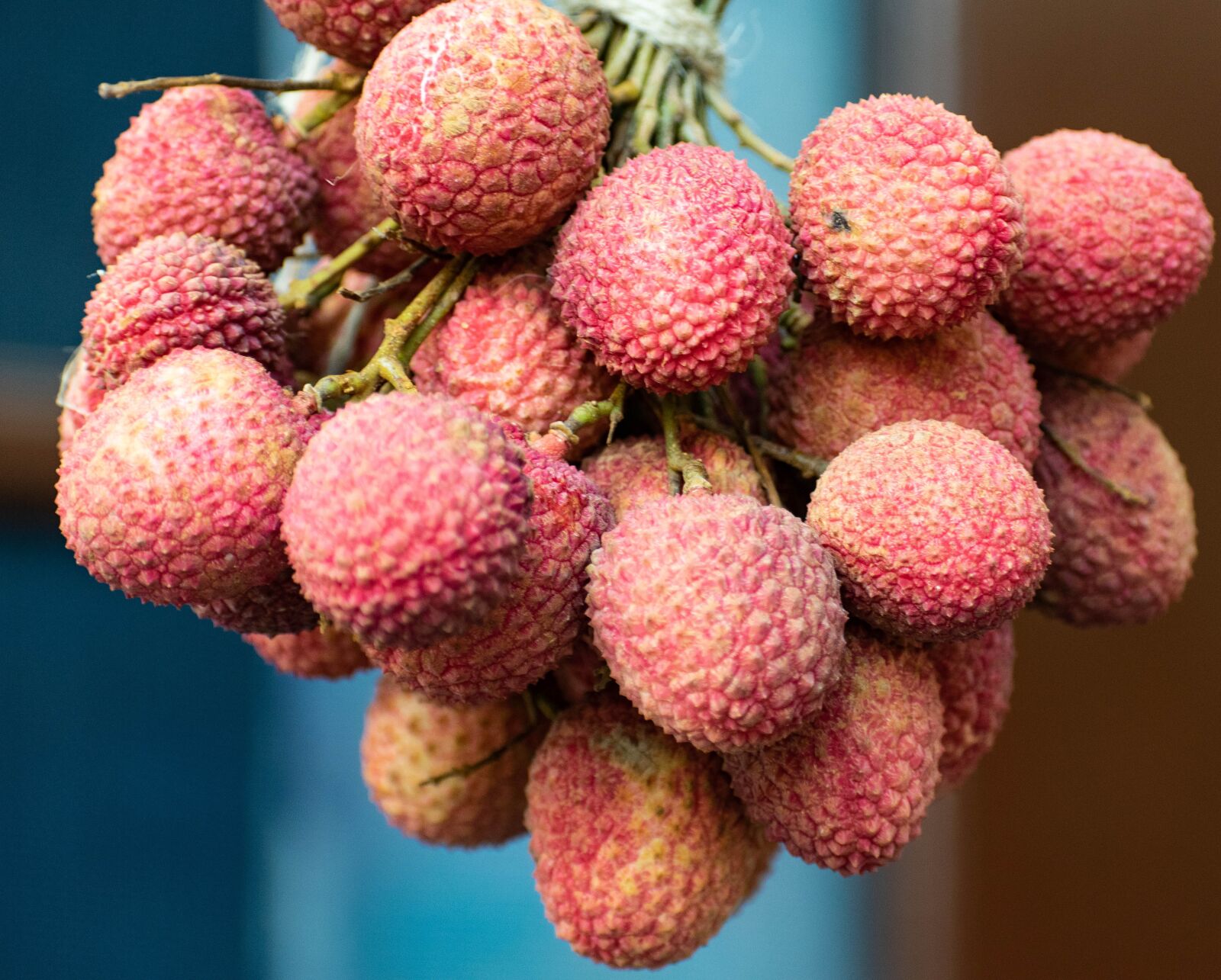 Nikon D3300 sample photo. Litchi, fruits, lychee photography