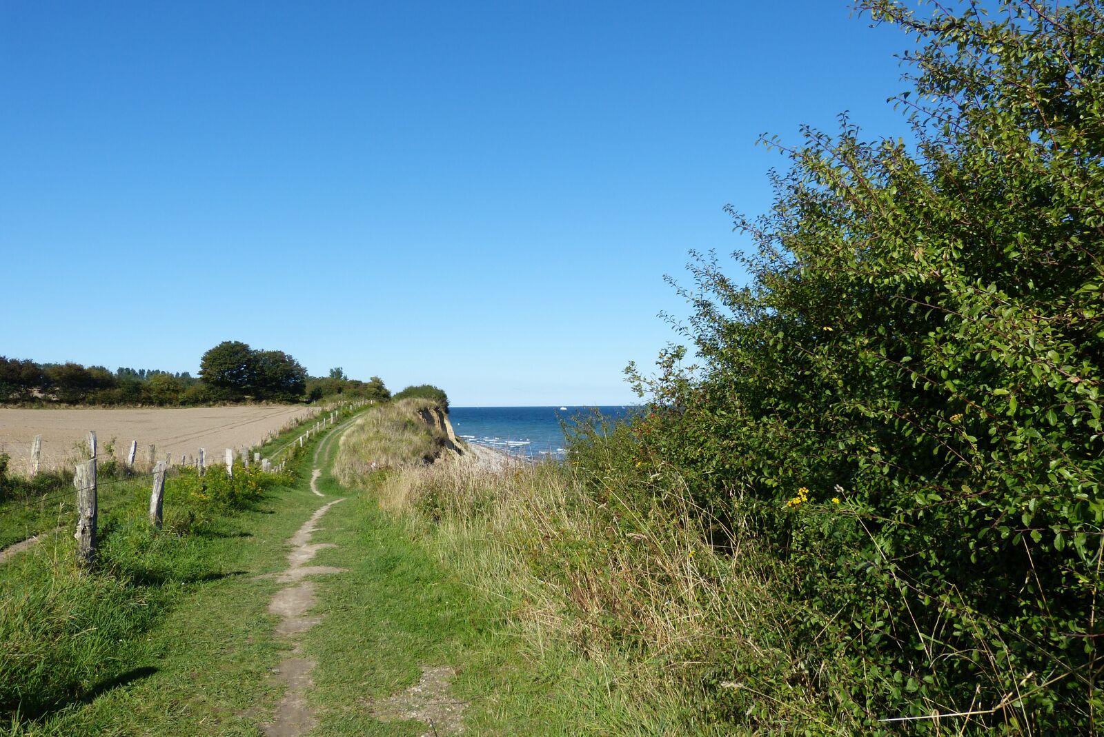 Panasonic Lumix DMC-FZ150 sample photo. Baltic sea, cliff, coast photography