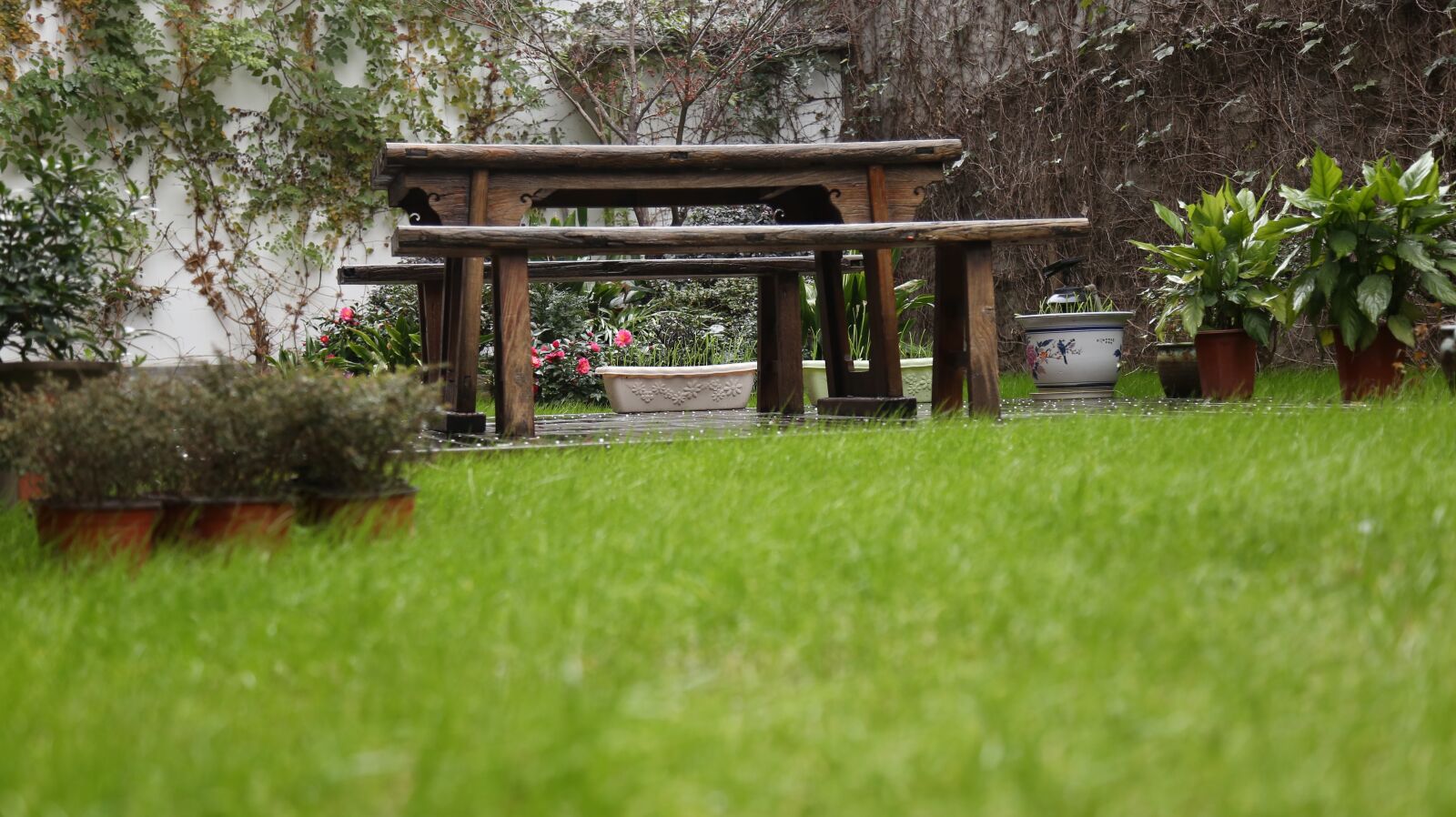 Canon EOS 6D + Canon EF 24-105mm F4L IS USM sample photo. Grassland, chinese table, fresh photography