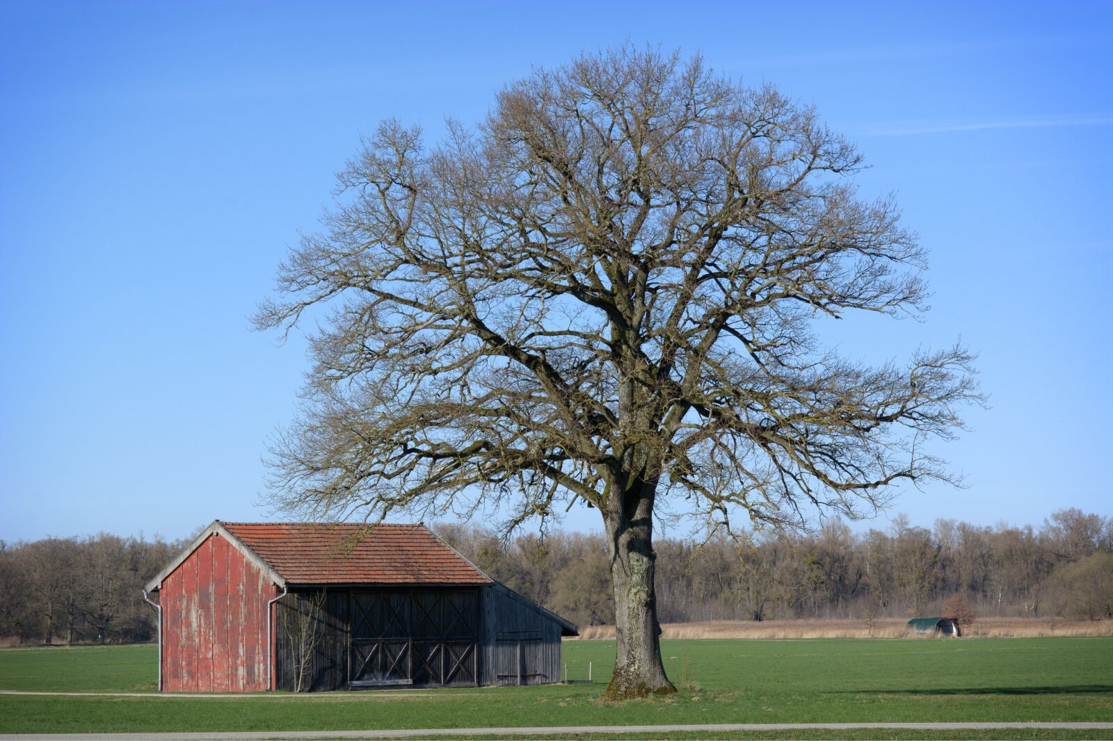 55.0-200.0mm f/4.0-f/5.6 sample photo. Landscape, nature, chiemgau photography