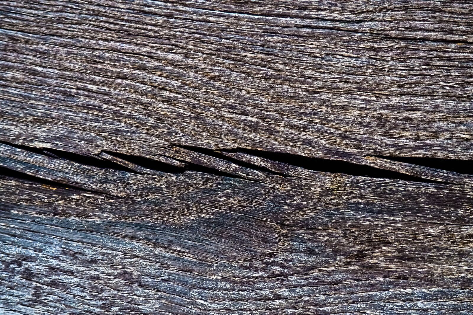 Olympus OM-D E-M10 sample photo. Wood, board, background photography