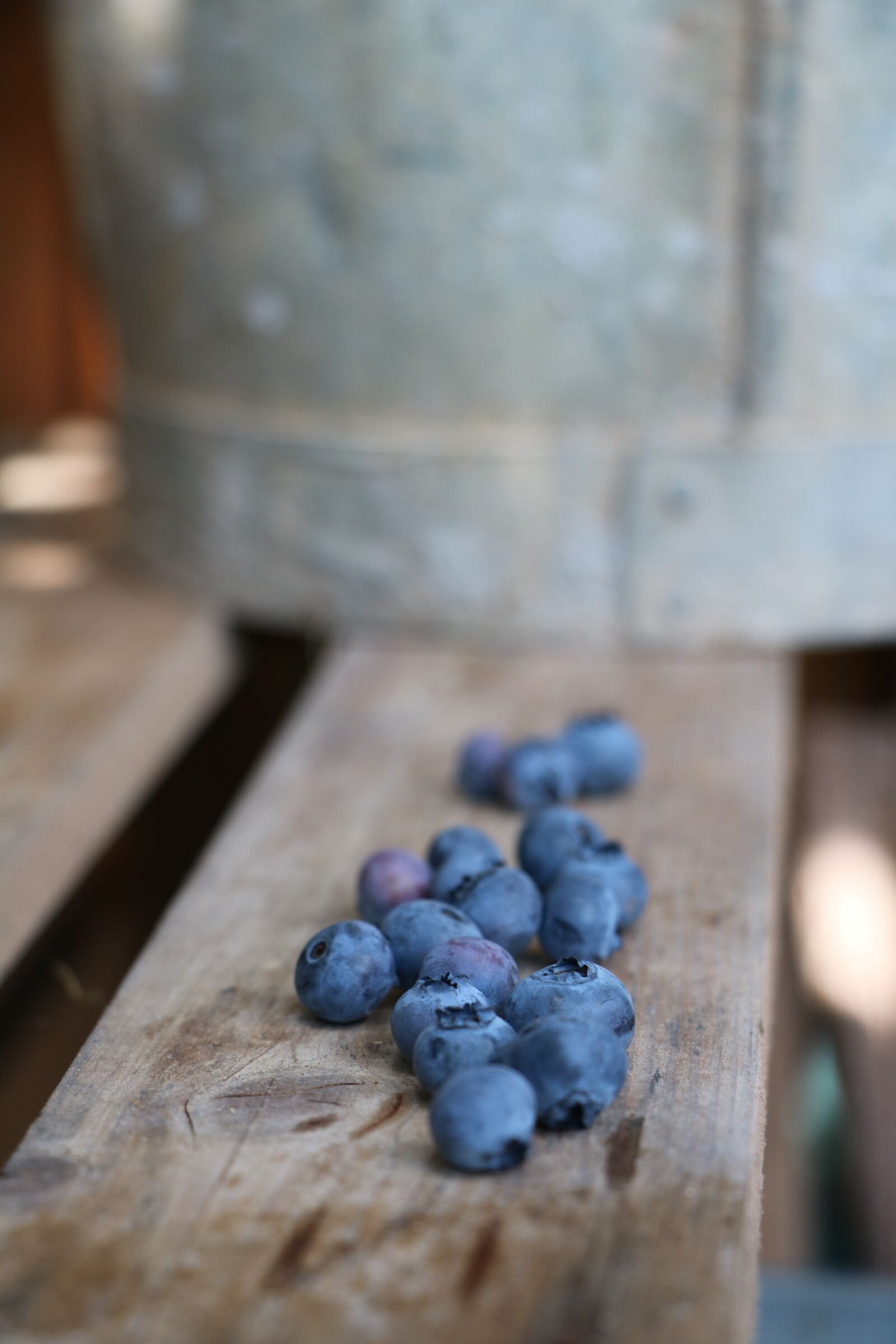Canon EOS 750D (EOS Rebel T6i / EOS Kiss X8i) sample photo. Blueberries, obstkiste, garden photography