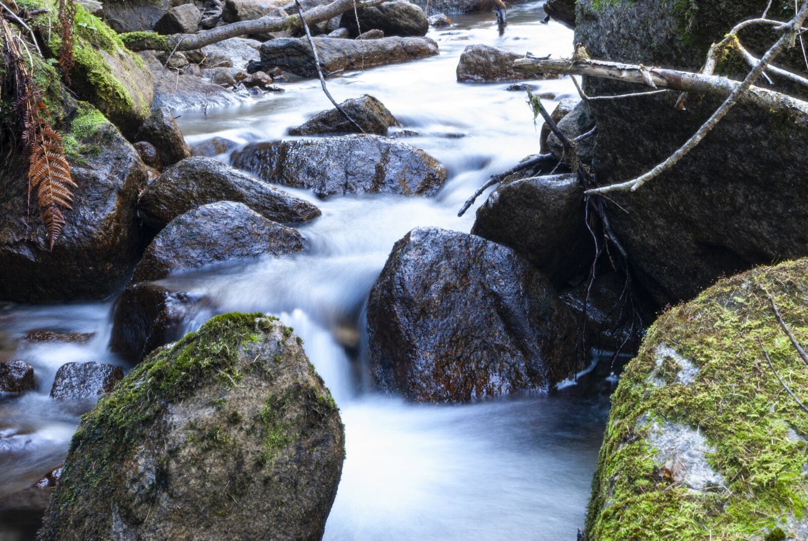 Samsung GX-10 sample photo. Water, river, nature photography
