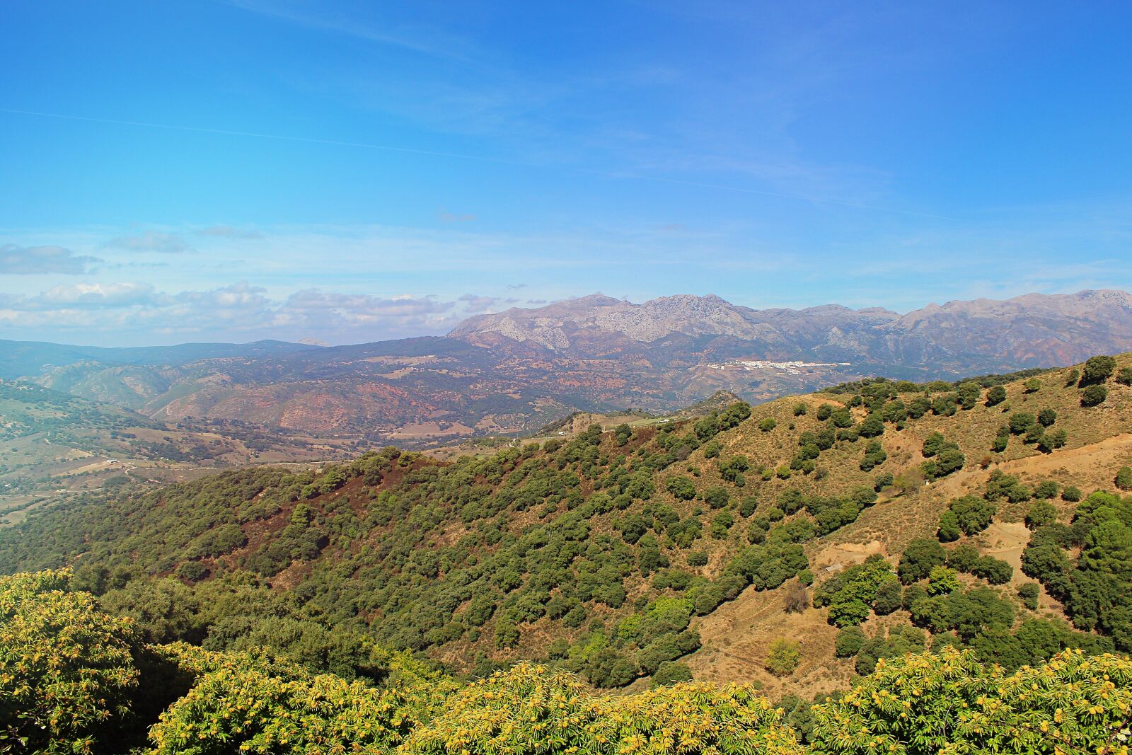 Canon EOS 600D (Rebel EOS T3i / EOS Kiss X5) sample photo. Ronda, spain, landscape photography