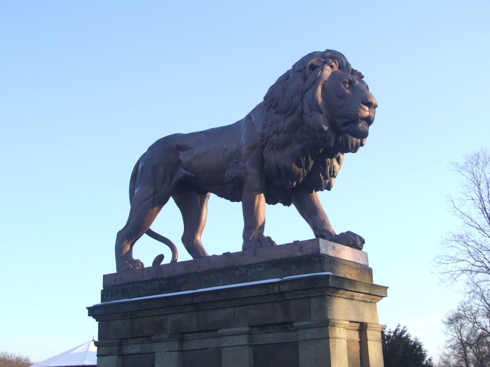 Fujifilm FinePix S9600 sample photo. The lion, statue, animal photography