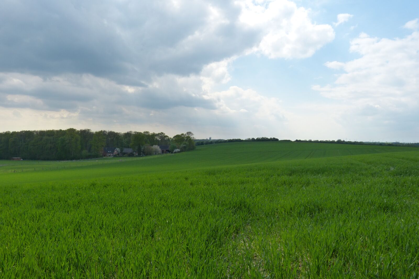 Panasonic Lumix DMC-FZ150 sample photo. Field, landscape, nature photography