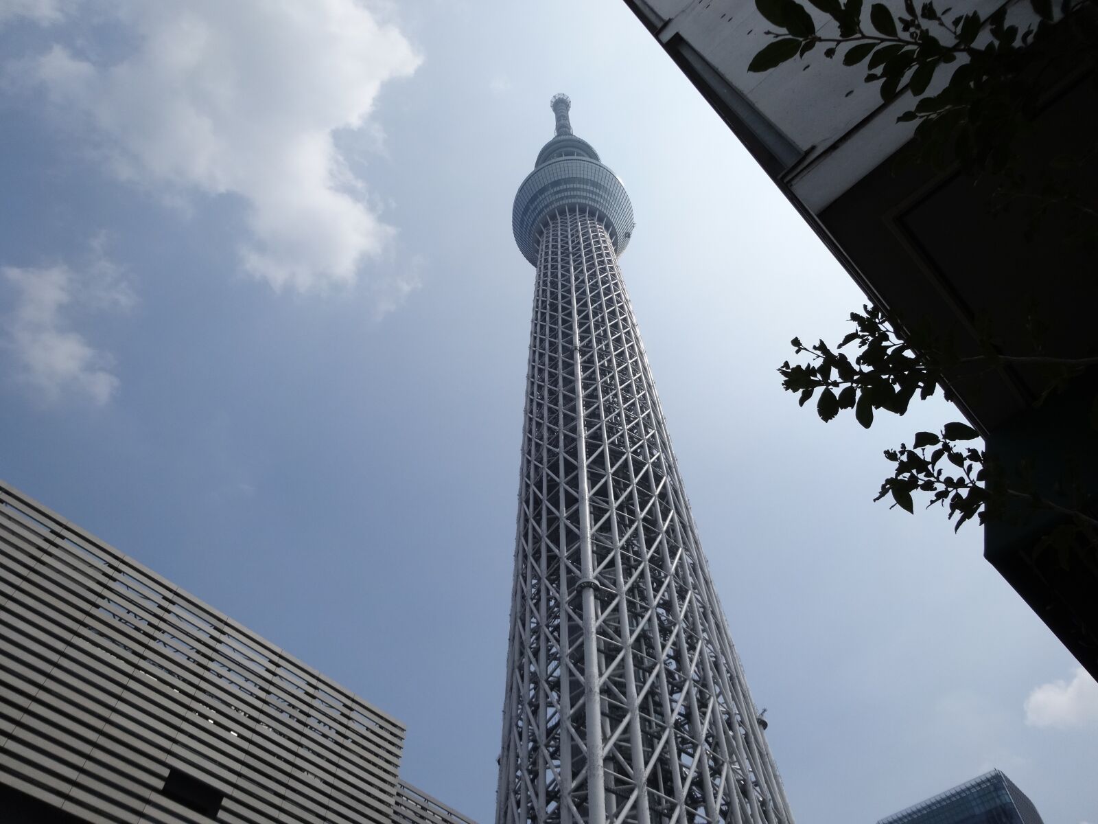 Sony Cyber-shot DSC-WX300 sample photo. Tower, tokyo, high photography