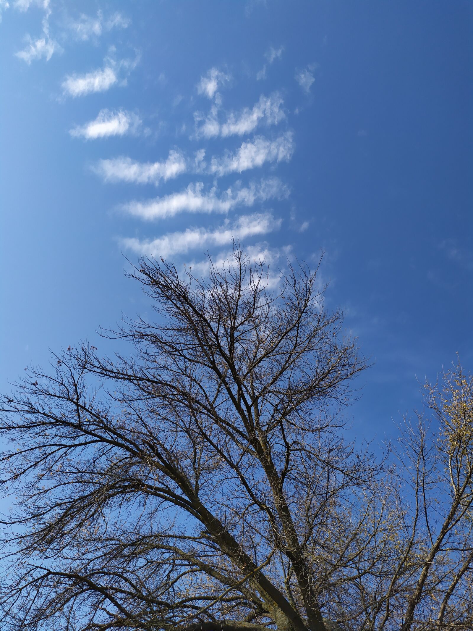 Xiaomi Redmi Note 7 sample photo. Nature, sky, landscape photography