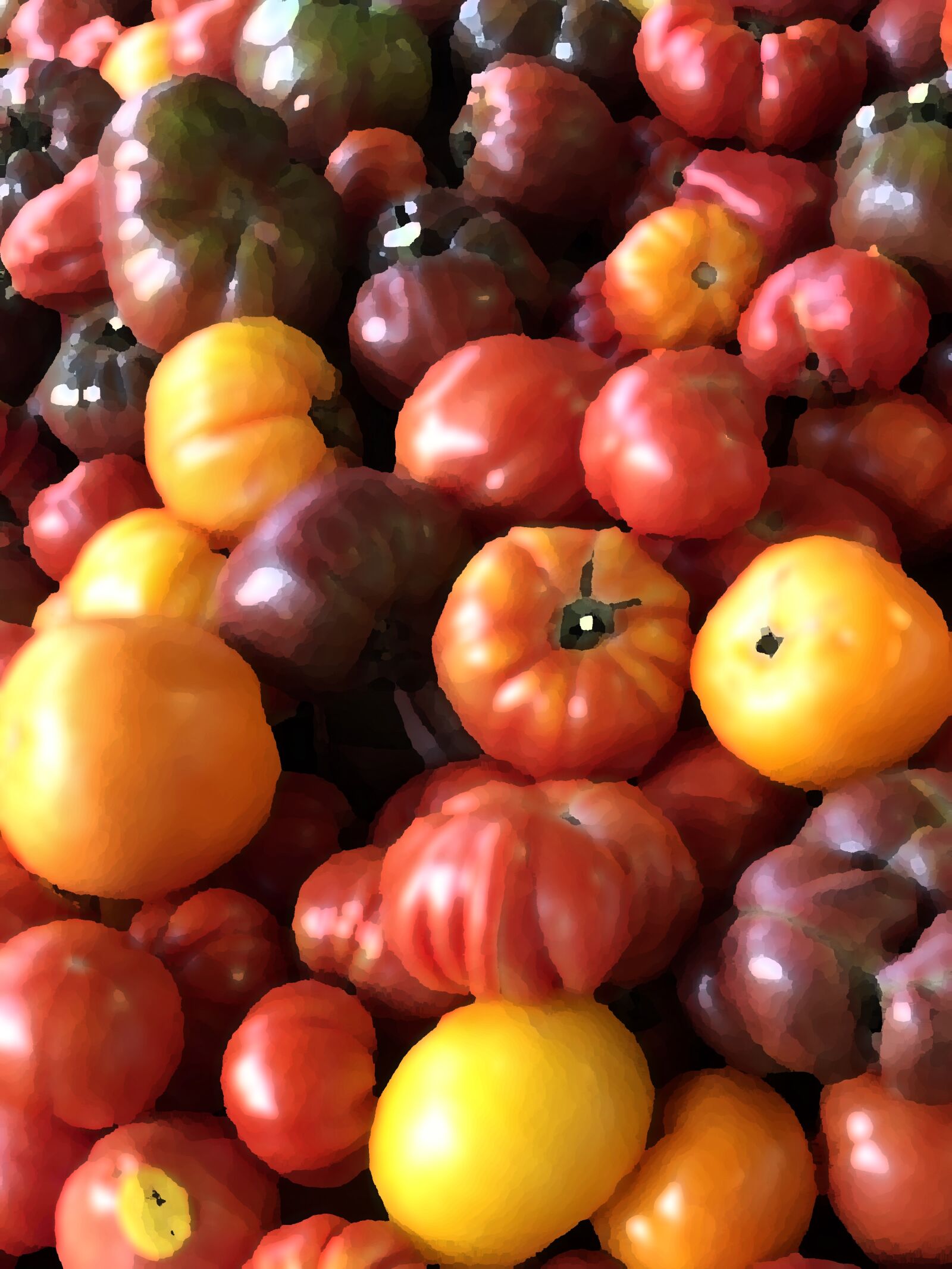 iPhone X back dual camera 4mm f/1.8 sample photo. Heirloom, tomatoes, tomato photography