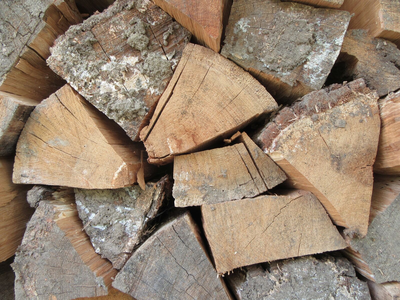 Canon PowerShot SX610 HS sample photo. Wood, texture, brown photography