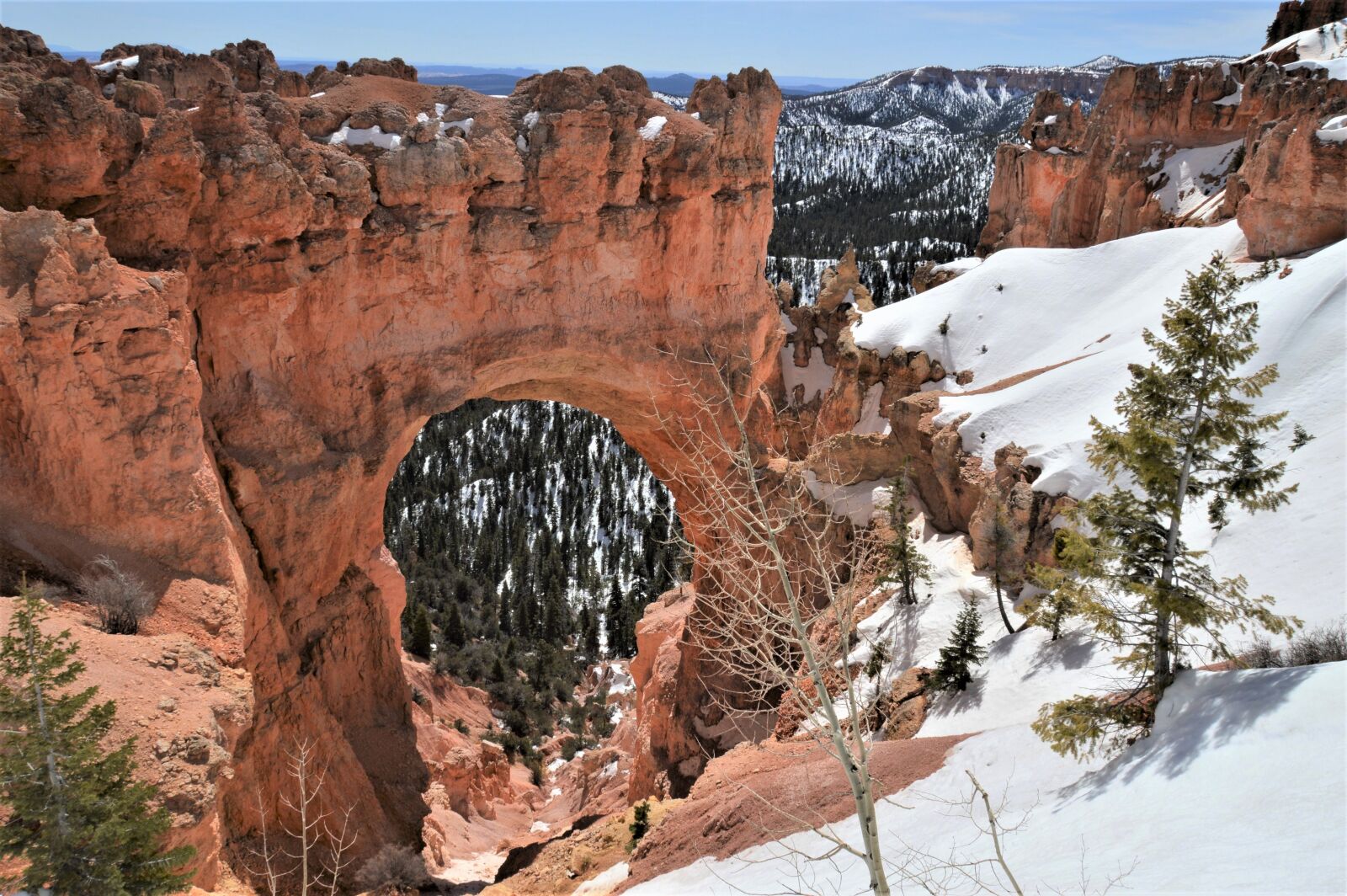 Nikon D3200 sample photo. Nature, brice canyon, park photography