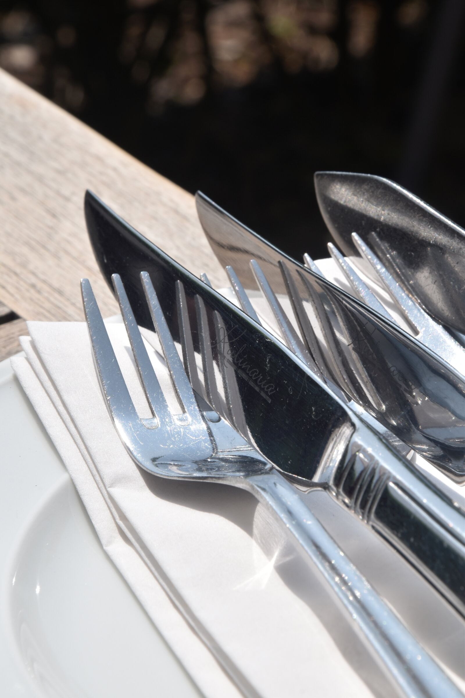 Nikon D5600 sample photo. Cutlery, knife, forks photography