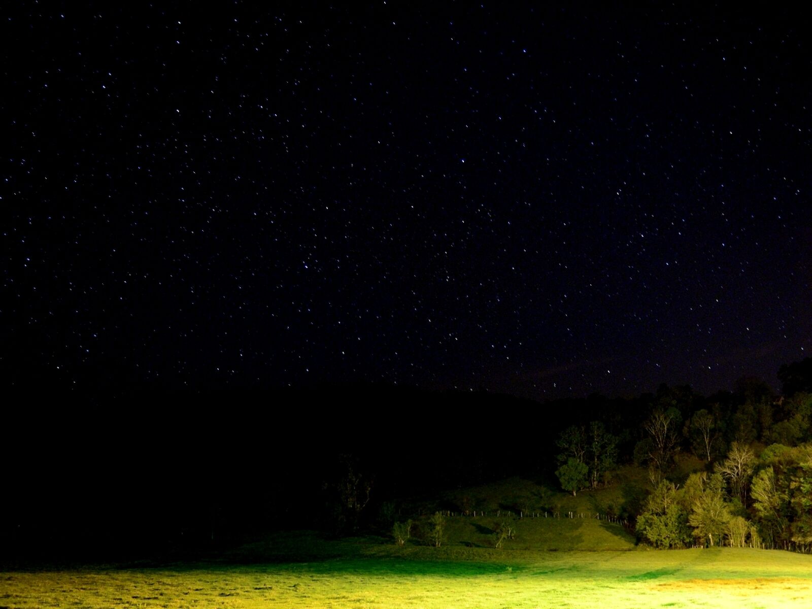 Nikon D5100 sample photo