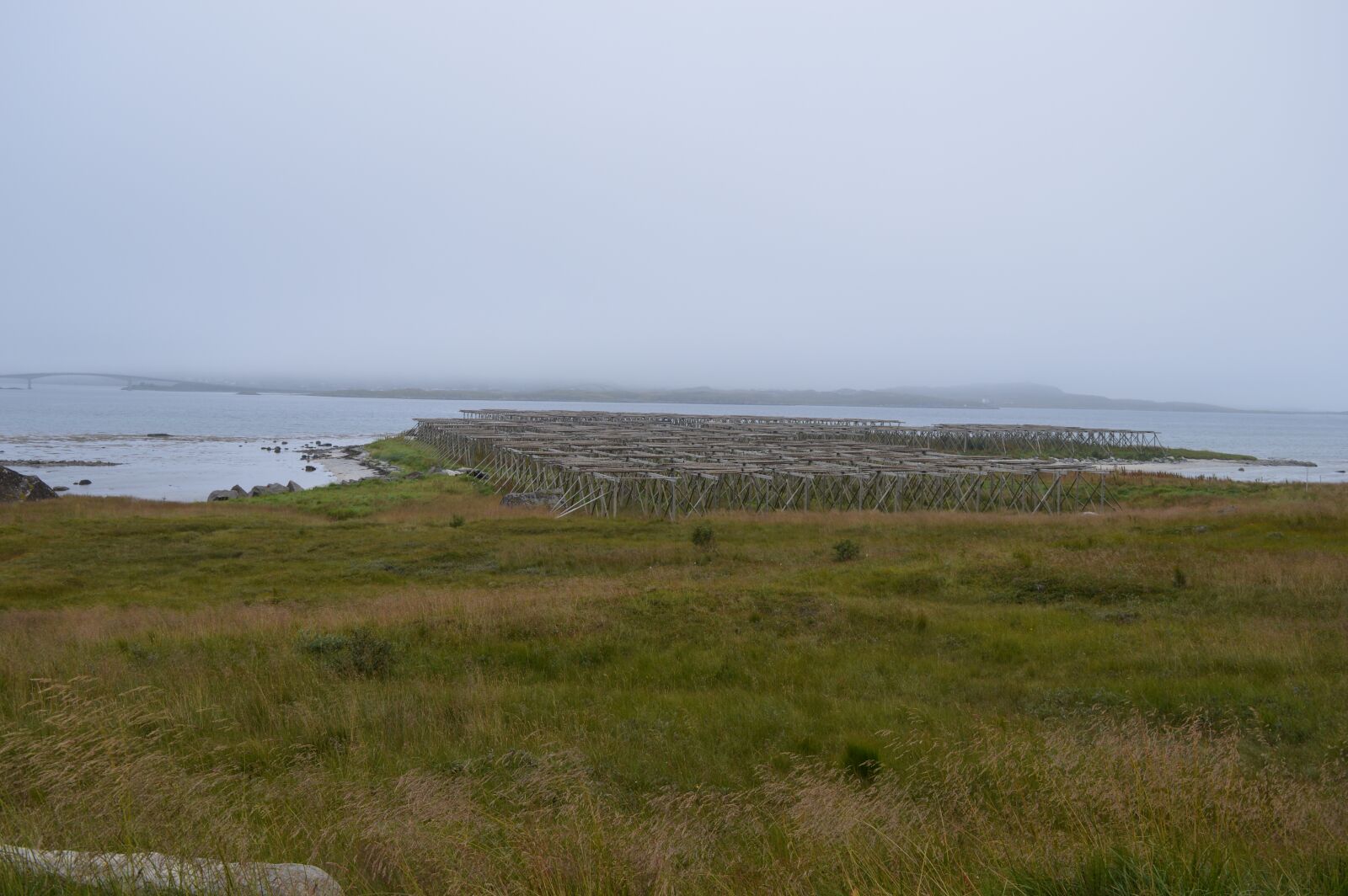 Nikon D3200 sample photo. Lofoten, sea, norway photography