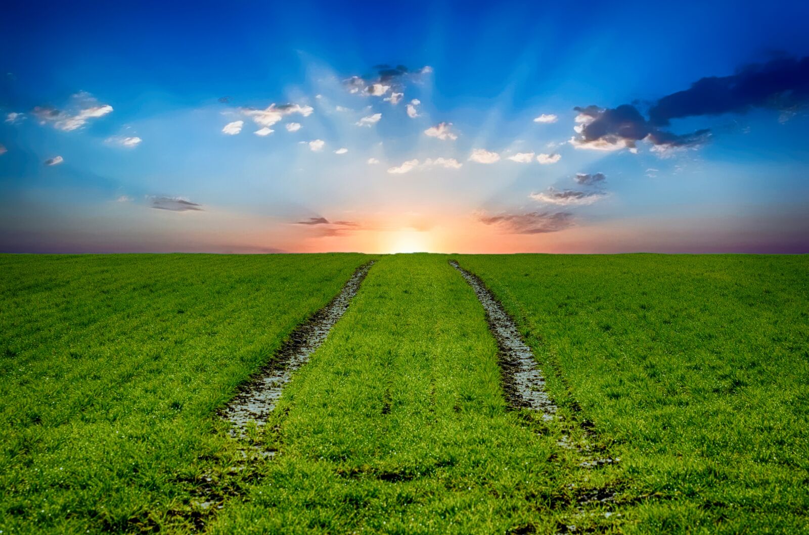 Nikon D5100 sample photo. Field, sunrise, landscape photography
