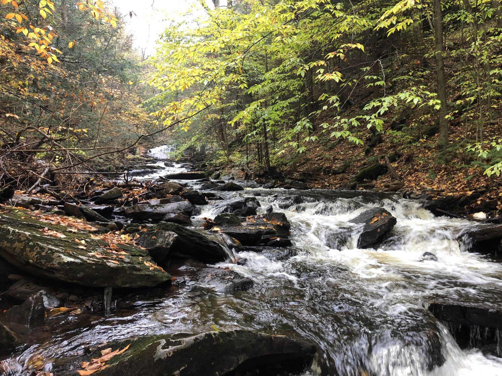 iPhone X back dual camera 4mm f/1.8 sample photo. Pennsylvania, creek, river photography