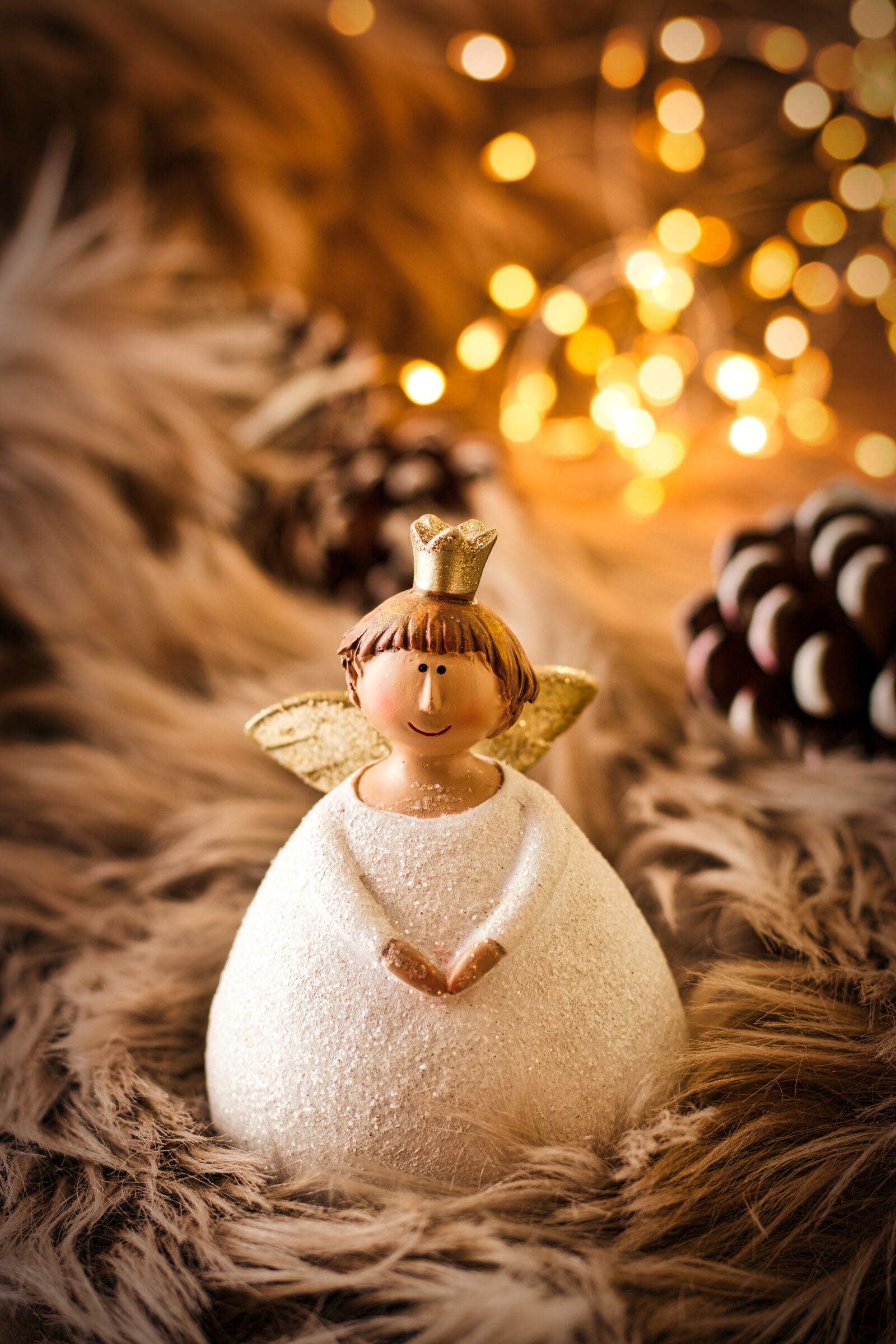 Canon EOS 200D (EOS Rebel SL2 / EOS Kiss X9) + Canon EF 50mm F1.8 STM sample photo. Christmas card, angel, christmas photography