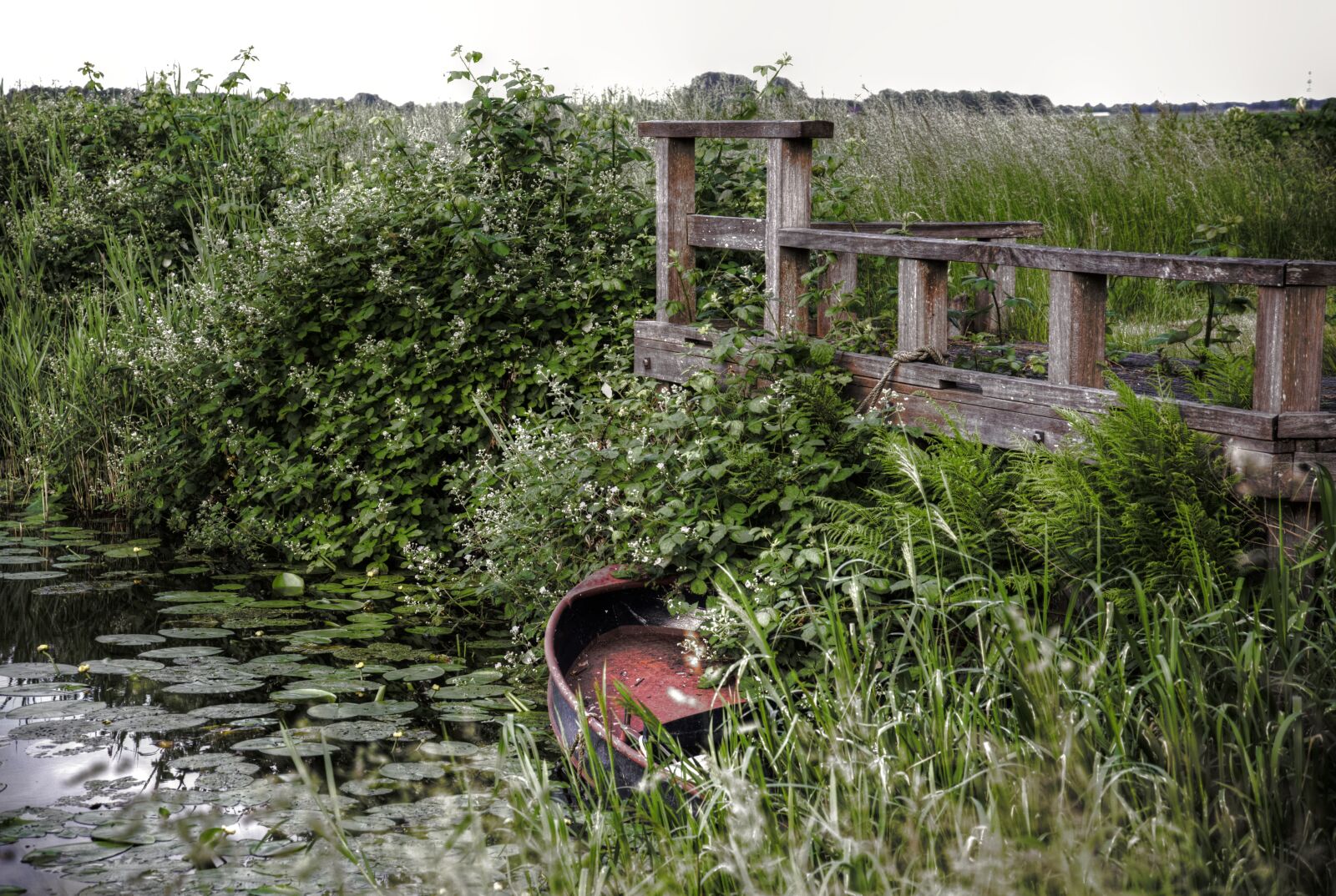 Nikon D600 sample photo. Boat, water, flora photography