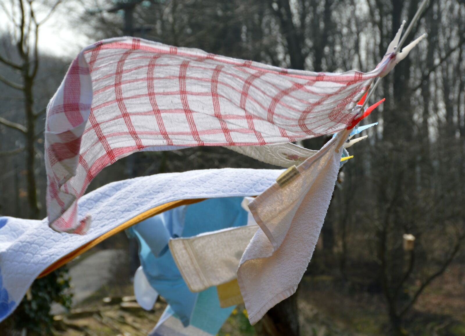 Nikon D3200 sample photo. Laundry, wind, flutter photography