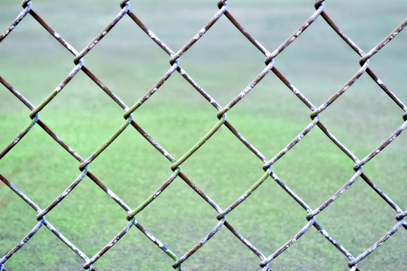 Nikon D3200 sample photo. Field, fence, baseball photography