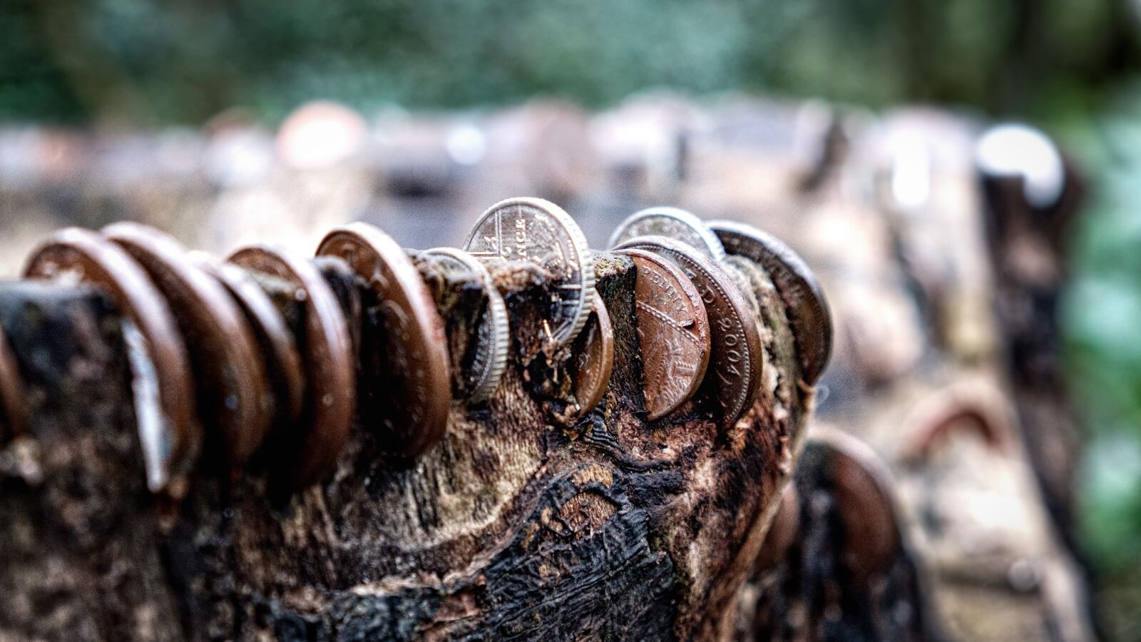Fujifilm XF 18-55mm F2.8-4 R LM OIS sample photo. Tree stump, coins, stump photography