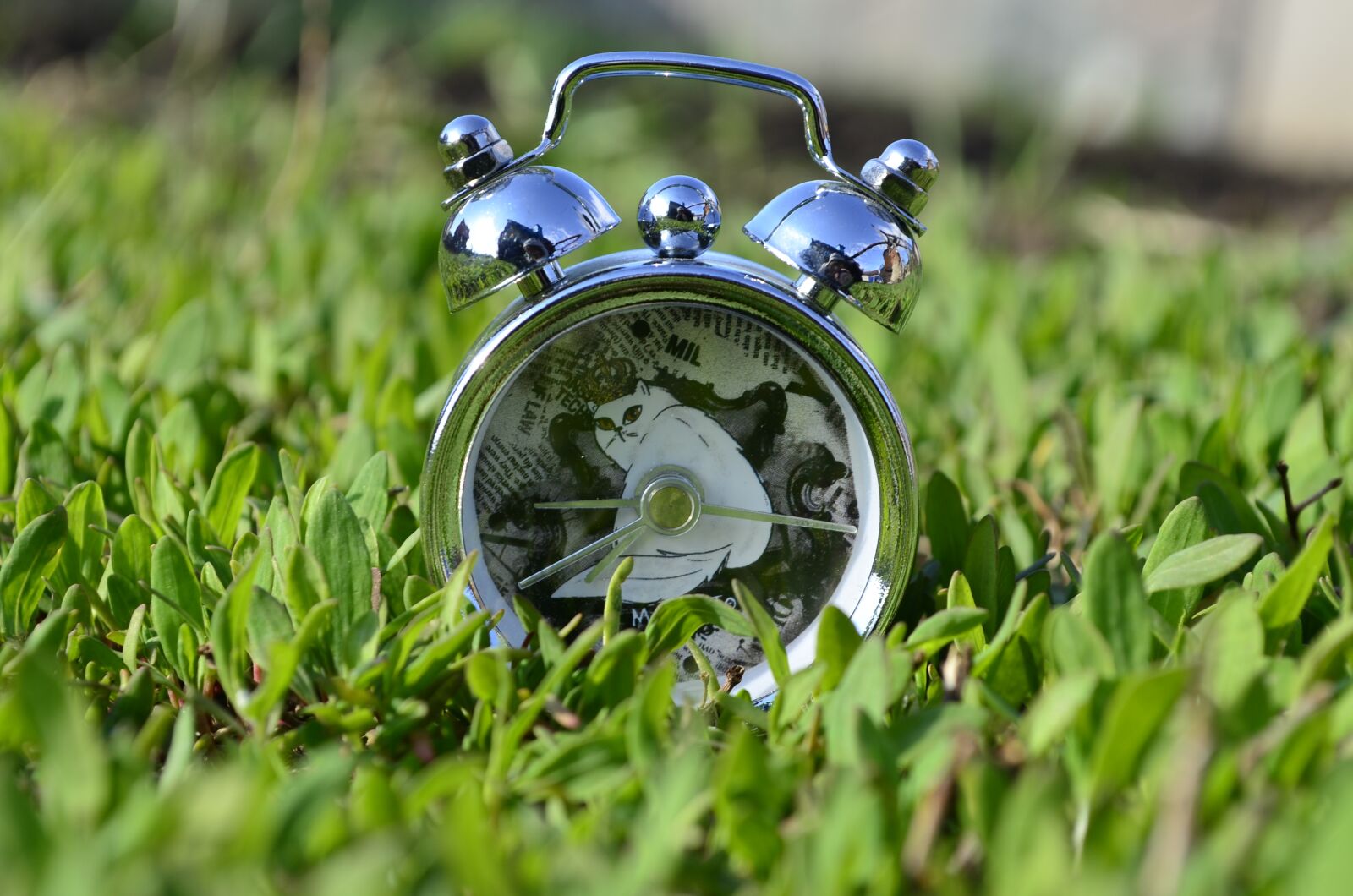 Nikon D5100 sample photo. Clock, alarm clock, watch photography