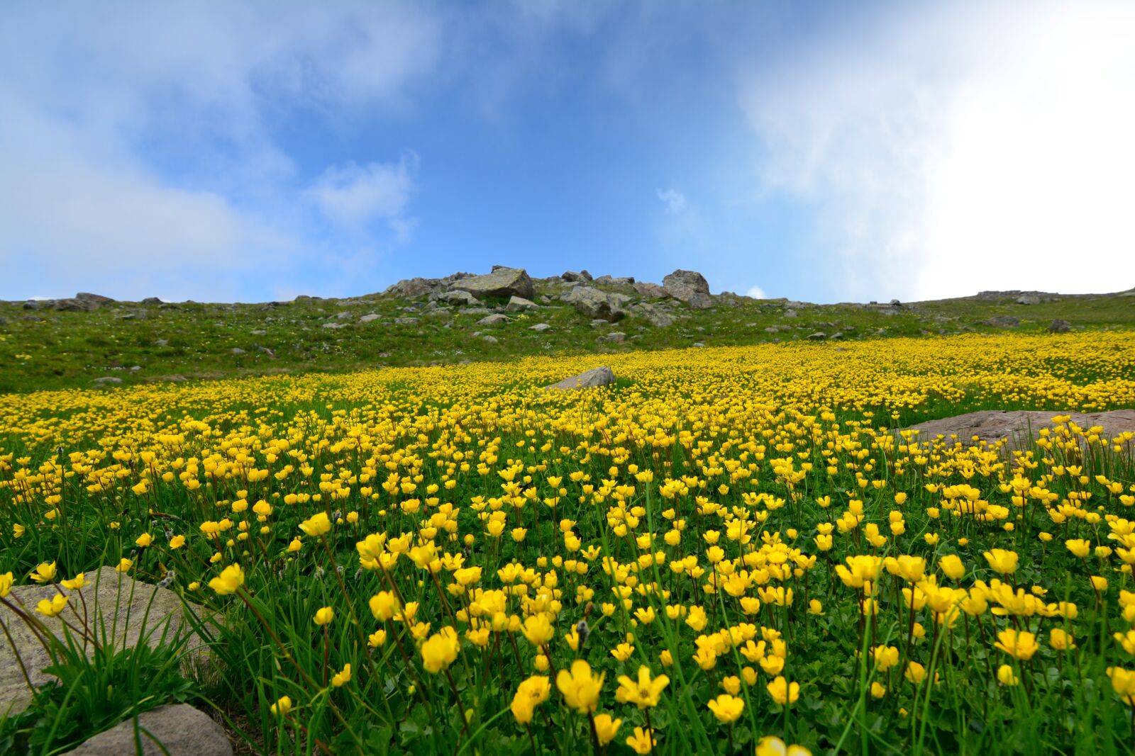 Nikon D7100 sample photo. Nature, landscape, kaçkars photography