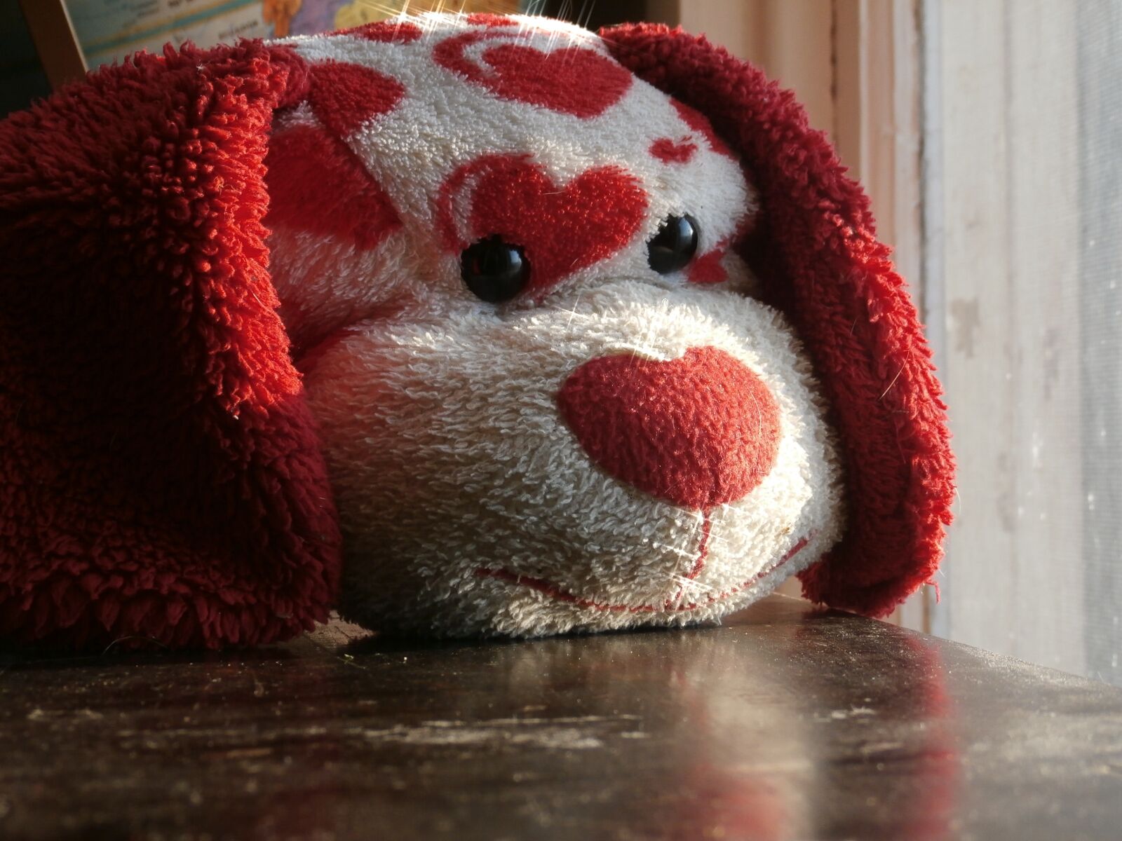 Olympus SZ-15,DZ-100 sample photo. Stuffed animal, puppy, valentines photography