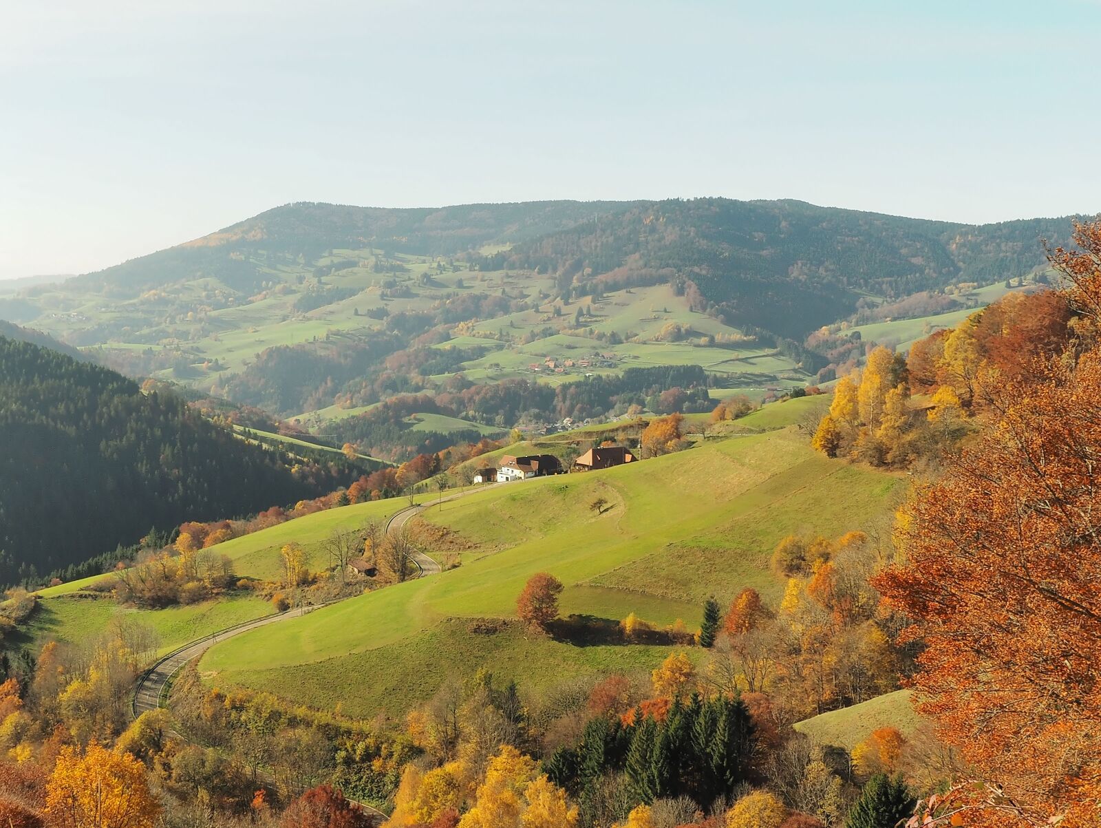 Olympus OM-D E-M1 + Olympus M.Zuiko Digital ED 12-40mm F2.8 Pro sample photo. Landscape, nature, fall photography