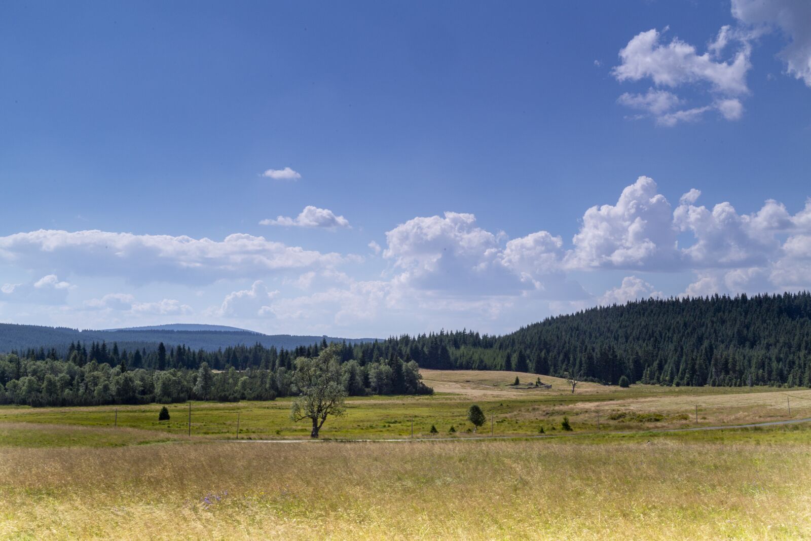 Canon EOS 6D + Canon EF 50mm F1.4 USM sample photo. Mountains, isar, jizera mountains photography
