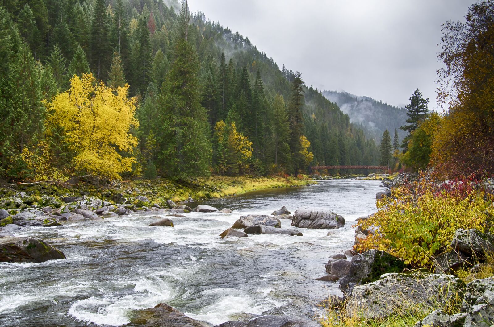 Nikon D5100 sample photo. Fall colors, lochsa river photography