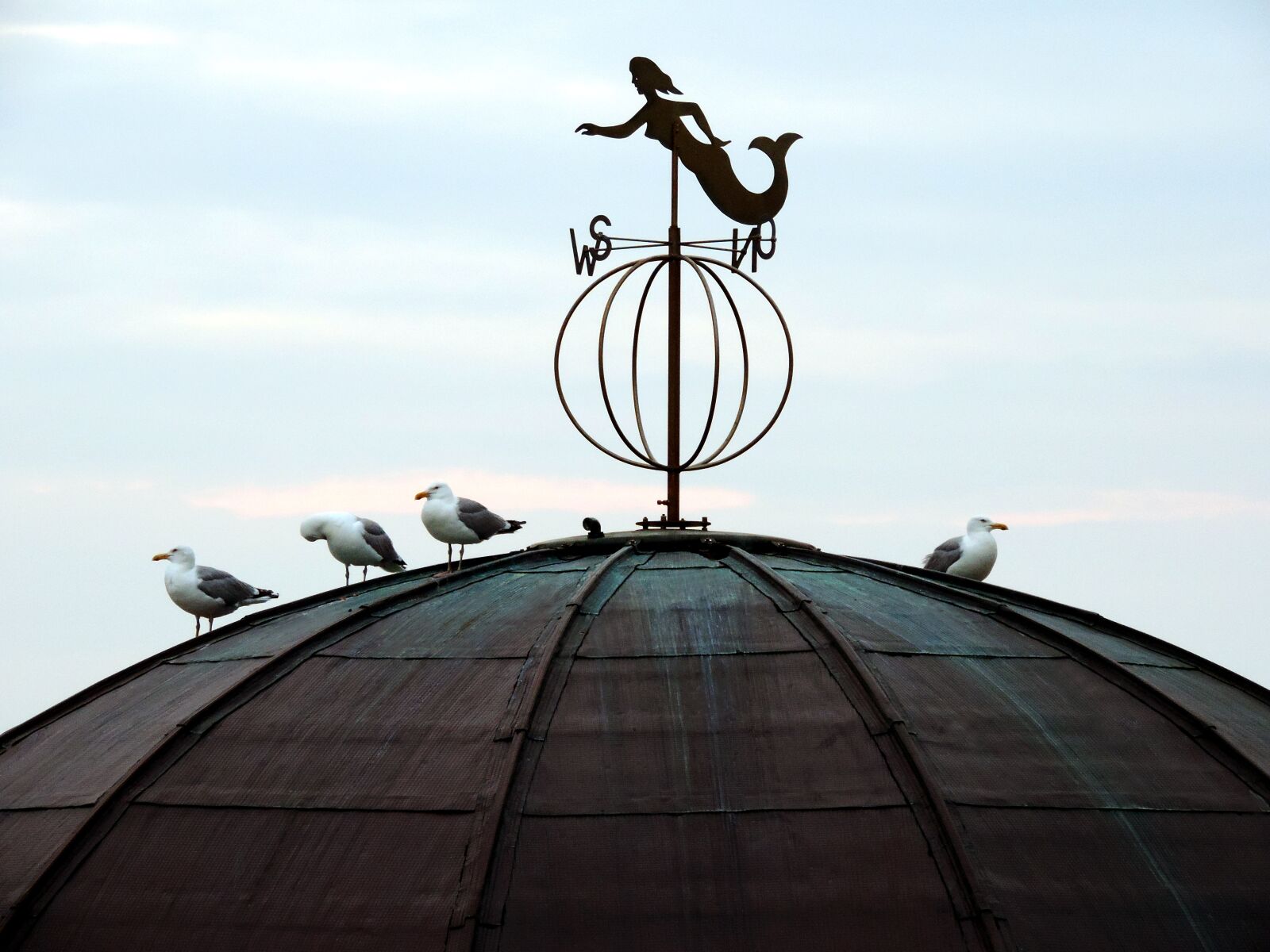 Nikon Coolpix P520 sample photo. Weathervane, roof, gulls photography