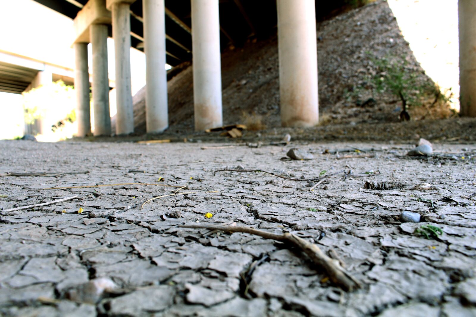 Canon EOS 700D (EOS Rebel T5i / EOS Kiss X7i) sample photo. Drought, dry, desert photography