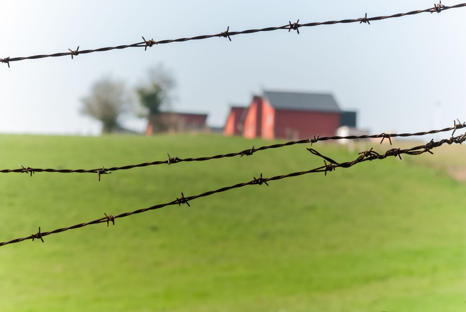 Nikon D80 sample photo. Wire, closing, barbed wire photography