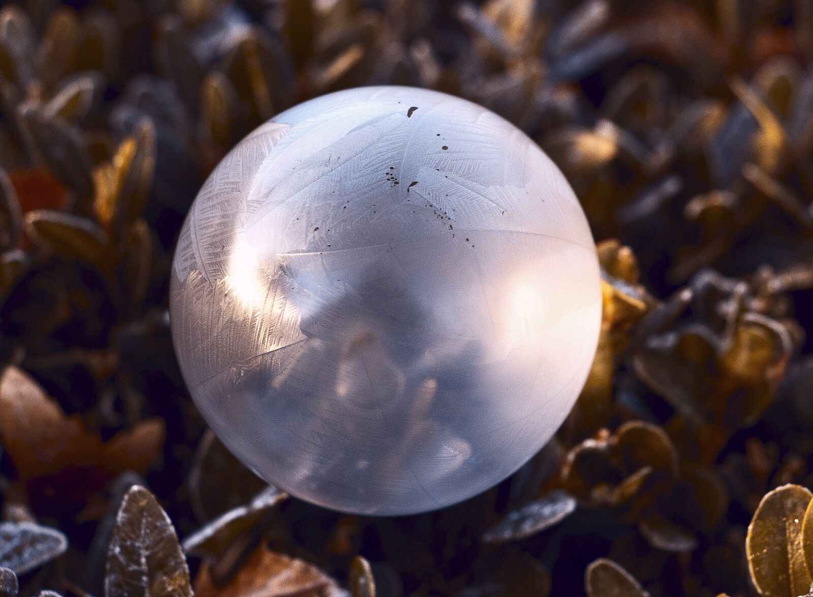 Canon EOS 700D (EOS Rebel T5i / EOS Kiss X7i) sample photo. Soap bubbles, ball, colorful photography