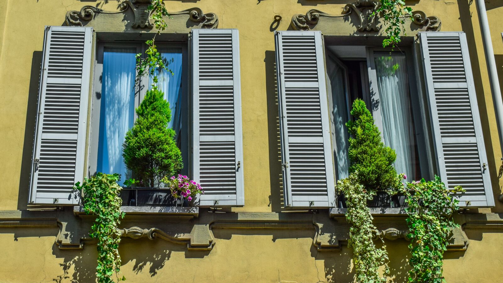 Nikon D3300 sample photo. Windows, old, architecture photography
